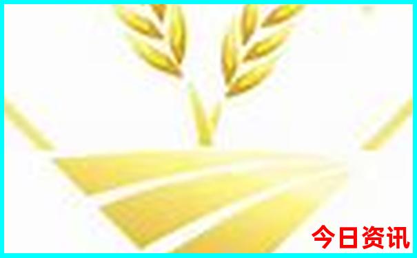 重庆到甘南自驾游最佳路线推荐