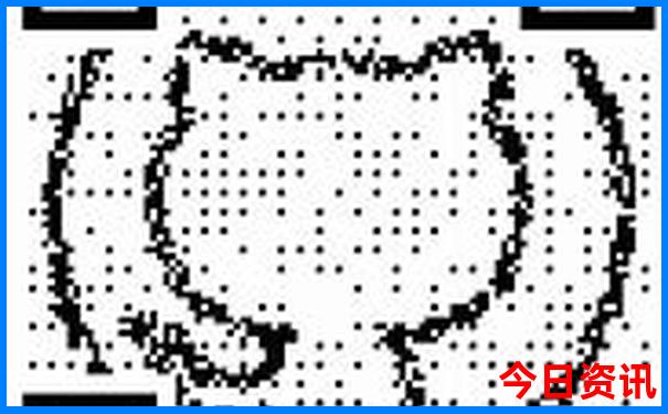 去哪里旅游比较好玩